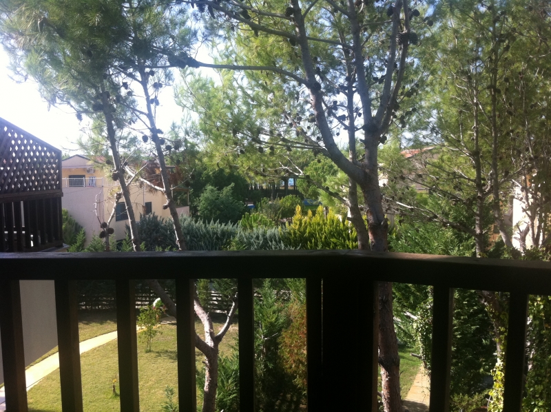 1st Real Estate First Real Estate in Albania